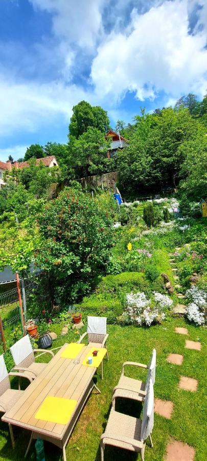 Apartamento Casa Sperantei Sighişoara Exterior foto