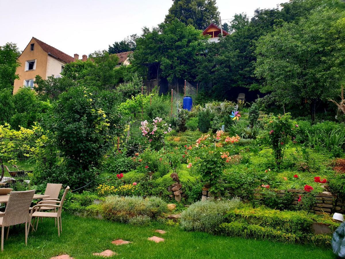 Apartamento Casa Sperantei Sighişoara Exterior foto